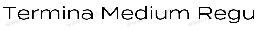 Termina Medium Regul字体转换